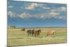 Heard of Horses in Hayfield, San Luis Valley-Howie Garber-Mounted Photographic Print