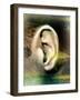 Hearing-Hannah Gal-Framed Photographic Print