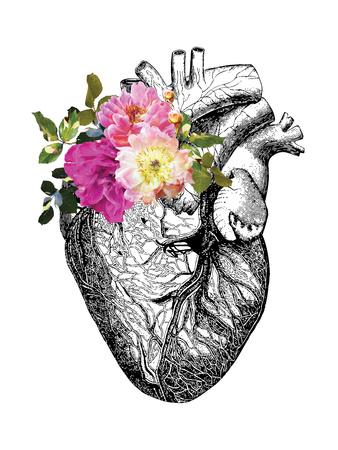 https://imgc.allpostersimages.com/img/posters/heart-anatomical-floral_u-L-F9EALZ0.jpg?artPerspective=n
