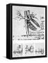 Heart Anatomy, 16th Century-Science Photo Library-Framed Stretched Canvas