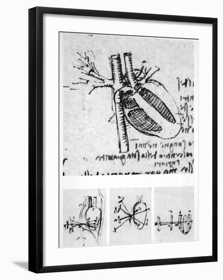 Heart Anatomy, 16th Century-Science Photo Library-Framed Photographic Print