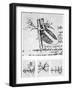 Heart Anatomy, 16th Century-Science Photo Library-Framed Photographic Print