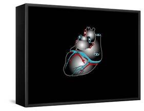 Heart Anatomy, Artwork-Francis Leroy-Framed Stretched Canvas