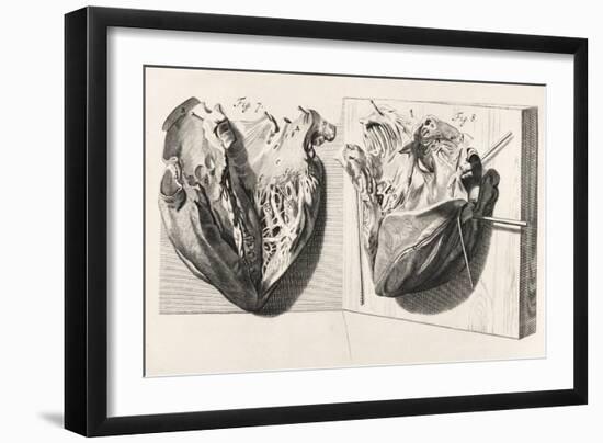 Heart Anatomy, Illustration, 1739-Science Source-Framed Giclee Print