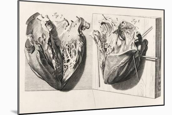 Heart Anatomy, Illustration, 1739-Science Source-Mounted Giclee Print