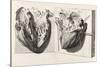 Heart Anatomy, Illustration, 1739-Science Source-Stretched Canvas