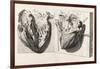 Heart Anatomy, Illustration, 1739-Science Source-Framed Giclee Print