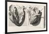 Heart Anatomy, Illustration, 1739-Science Source-Framed Giclee Print