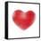 Heart And ECG-Cristina-Framed Stretched Canvas
