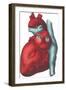 Heart and Major Vessels-null-Framed Art Print