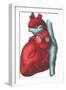 Heart and Major Vessels-null-Framed Art Print