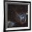 Heart and Soul Nebula-Stocktrek Images-Framed Photographic Print