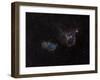 Heart and Soul Nebulae-Stocktrek Images-Framed Photographic Print