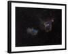 Heart and Soul Nebulae-Stocktrek Images-Framed Photographic Print