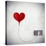 Heart Attached To A Socket-olly2-Stretched Canvas