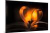 Heart, bokeh fire, dark background-Paivi Vikstrom-Mounted Photographic Print