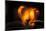 Heart, bokeh fire, dark background-Paivi Vikstrom-Mounted Photographic Print