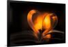 Heart, bokeh fire, dark background-Paivi Vikstrom-Framed Photographic Print