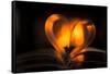 Heart, bokeh fire, dark background-Paivi Vikstrom-Framed Stretched Canvas