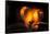 Heart, bokeh fire, dark background-Paivi Vikstrom-Framed Stretched Canvas