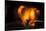 Heart, bokeh fire, dark background-Paivi Vikstrom-Stretched Canvas