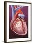 Heart Bypass Grafts-John Bavosi-Framed Premium Photographic Print