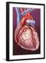 Heart Bypass Grafts-John Bavosi-Framed Premium Photographic Print