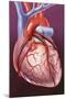 Heart Bypass Grafts-John Bavosi-Mounted Premium Photographic Print