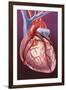 Heart Bypass Grafts-John Bavosi-Framed Photographic Print