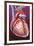 Heart Bypass Grafts-John Bavosi-Framed Photographic Print