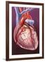 Heart Bypass Grafts-John Bavosi-Framed Photographic Print