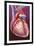 Heart Bypass Grafts-John Bavosi-Framed Photographic Print