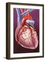 Heart Bypass Grafts-John Bavosi-Framed Photographic Print