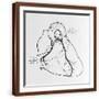 Brown Frame