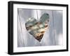 Heart Full of Love-Gail Peck-Framed Photographic Print