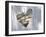 Heart Full of Love-Gail Peck-Framed Photographic Print