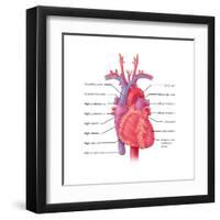 Heart, Illustration-Evan Oto-Framed Art Print