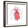 Heart, Illustration-Evan Oto-Framed Art Print