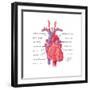 Heart, Illustration-Evan Oto-Framed Art Print