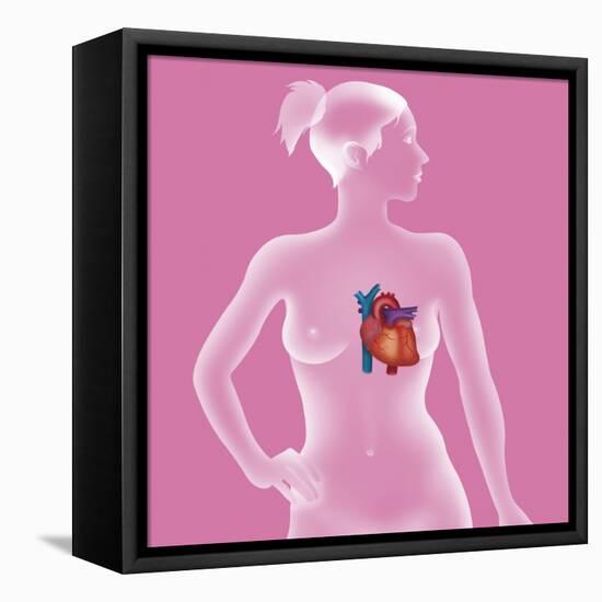 Heart, Illustration-Caroline Arquevaux-Framed Stretched Canvas