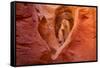 Heart in Stone-Michael Blanchette-Framed Stretched Canvas