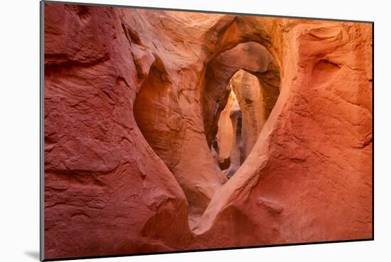 Heart in Stone-Michael Blanchette-Mounted Photographic Print