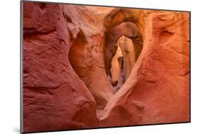 Heart in Stone-Michael Blanchette-Mounted Photographic Print