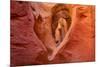 Heart in Stone-Michael Blanchette-Mounted Photographic Print