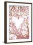 Heart in the Trees I-Karyn Millet-Framed Photographic Print