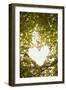 Heart in the Trees II-Karyn Millet-Framed Photographic Print