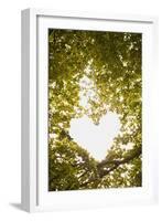 Heart in the Trees II-Karyn Millet-Framed Photographic Print