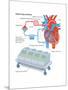 Heart-Lung Machine-Encyclopaedia Britannica-Mounted Poster
