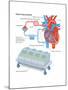 Heart-Lung Machine-Encyclopaedia Britannica-Mounted Poster