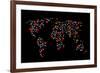 Heart Map-Mark Ashkenazi-Framed Giclee Print